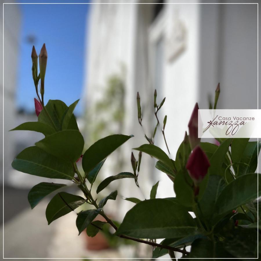 Rebecca E Sofia Stone House Affittacamere Alberobello Exteriér fotografie